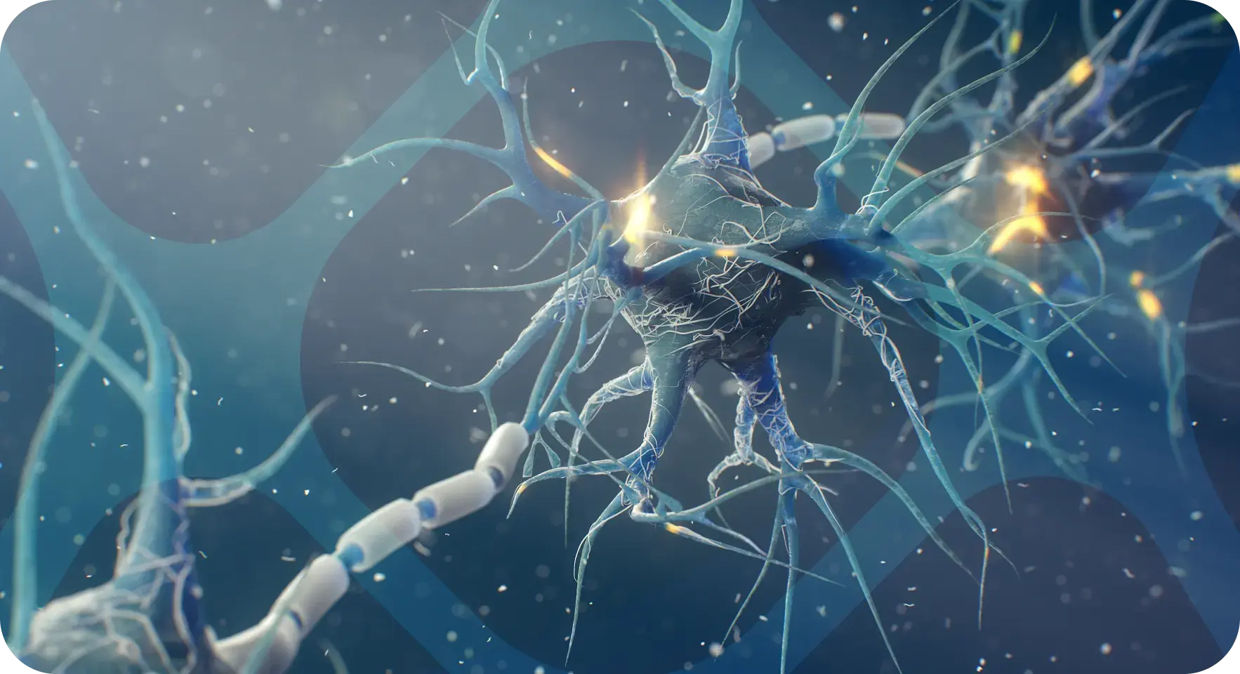 Xenon’s Kv7-targeted research may help reduce abnormal brain excitability Image