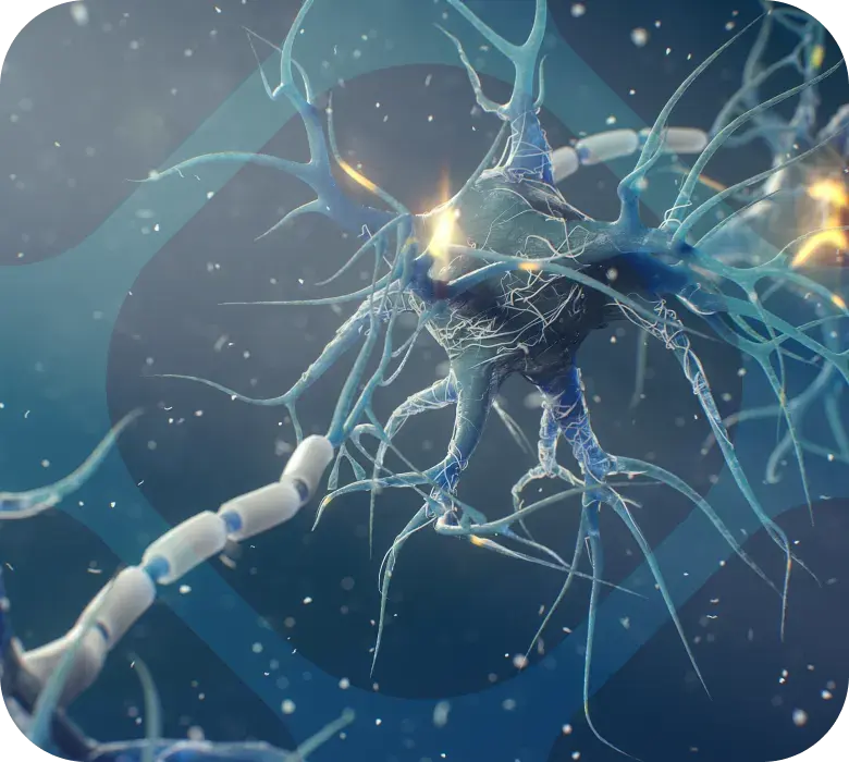 Xenon’s Kv7-targeted research may help reduce abnormal brain excitability Image