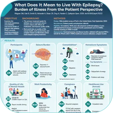 Epilepsy by the Numbers infographic preview
